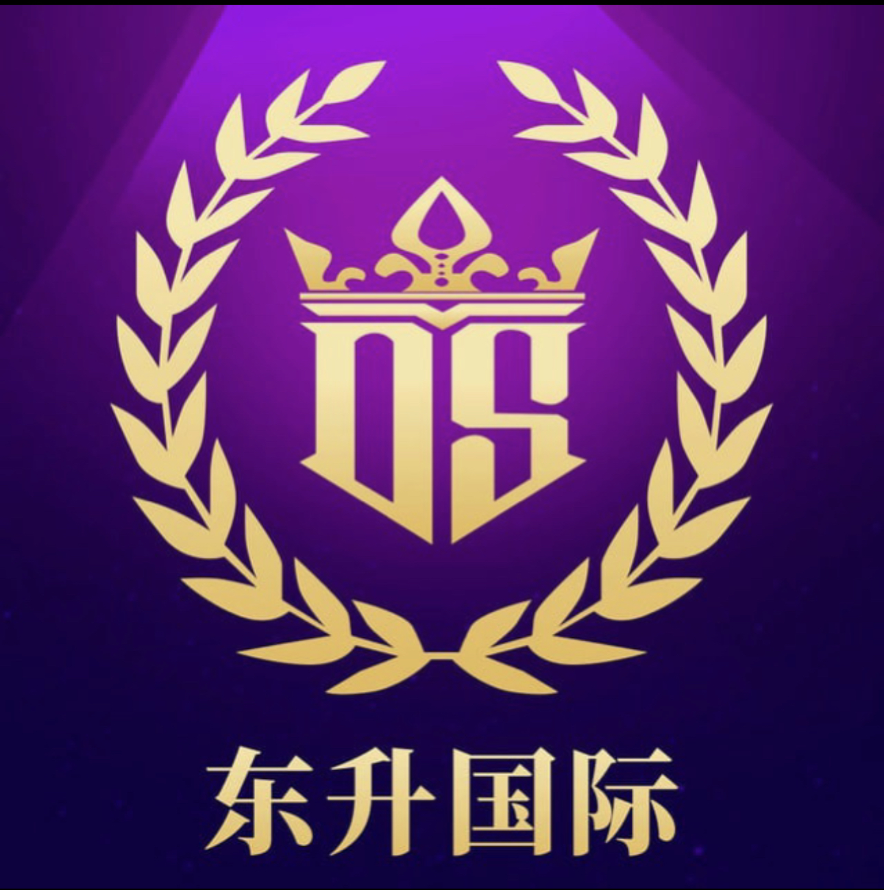 东升国际