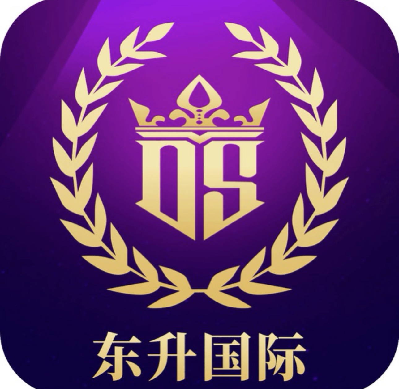东升国际